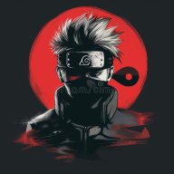 V Ninja