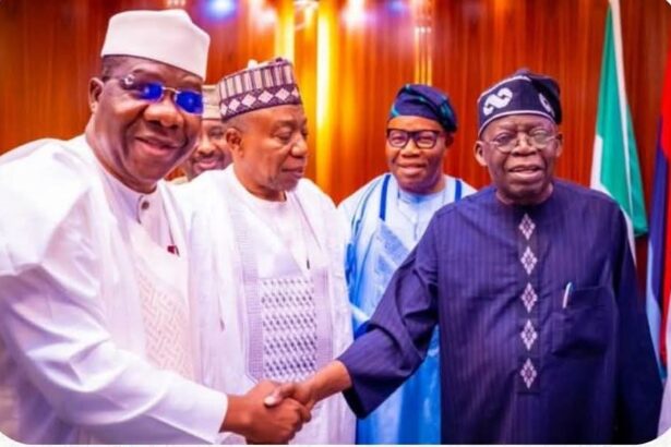 Tinubu Rejects Senators Plea For Automatic Return Ticket, Back Governors Control