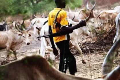 Suspected Herders Kill Four In Fresh Benue Community Attack